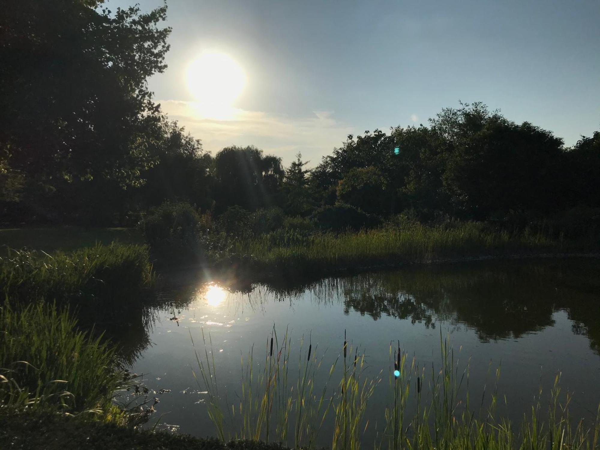 Imagine B&B Wortegem エクステリア 写真