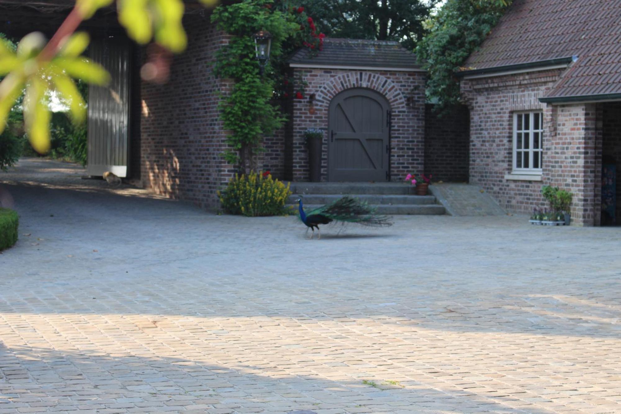 Imagine B&B Wortegem エクステリア 写真