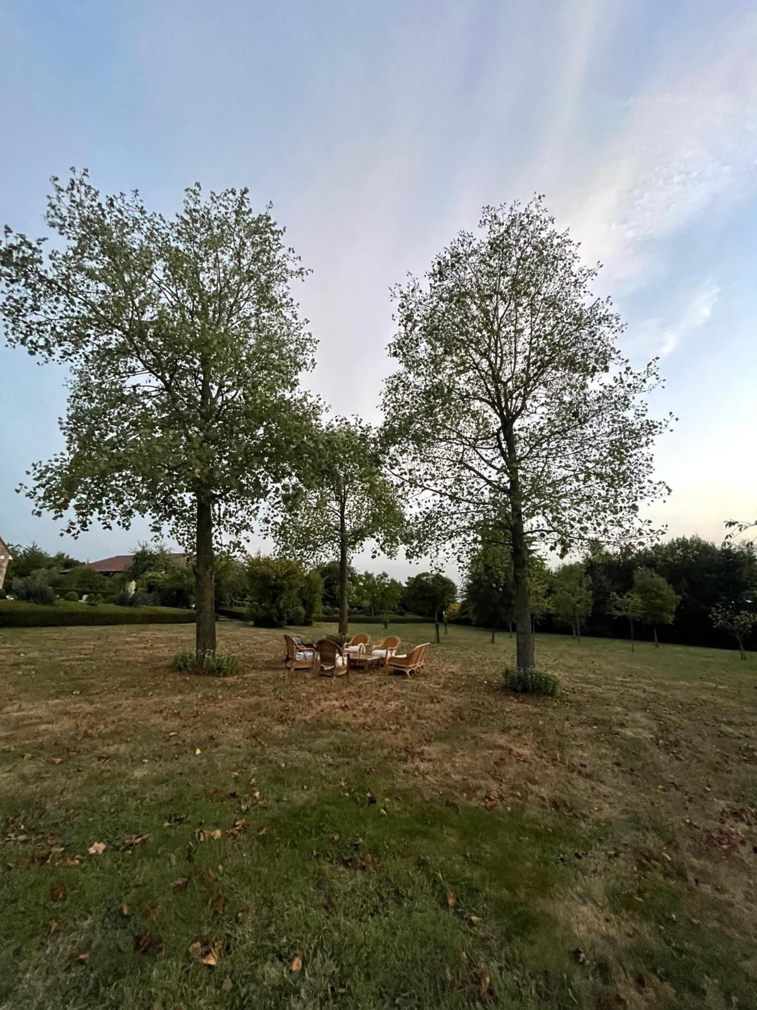Imagine B&B Wortegem エクステリア 写真